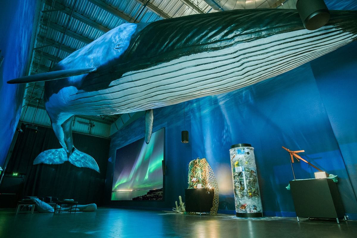 Giant blue whale model in an exhibition space, lit by blue lights, with aurora borealis display in the background.