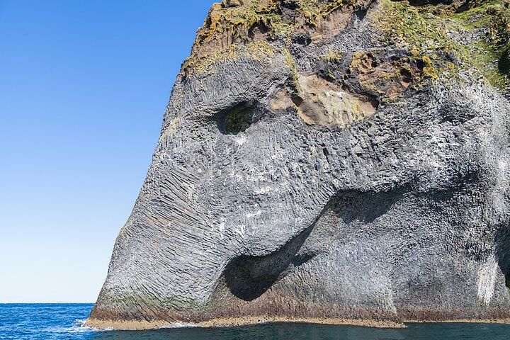 Rock formation resembling an elephant by the sea in Iceland under a clear blue sky.