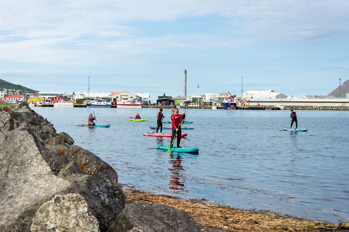 People paddleboarding on calm water near a coastal town with colorful buildings and rocky shoreline.