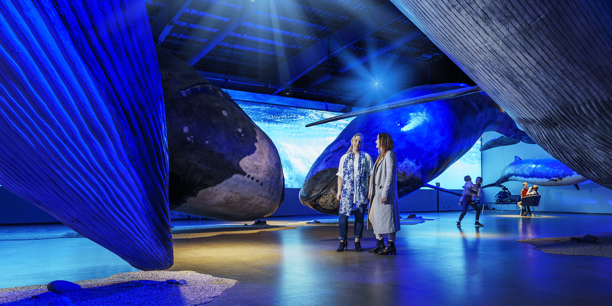 Two people admire whale exhibits under blue lights in a museum scene.